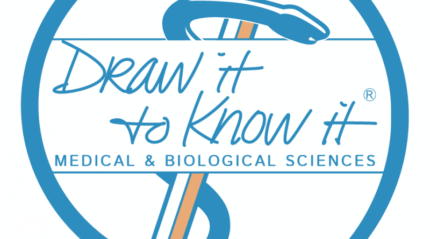 Draw It To Know It- Medical School Bundle by Systems 2019 (Videos)