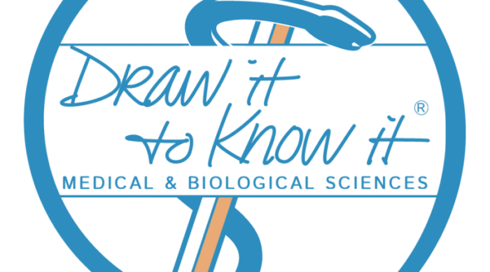 Draw It To Know It- Medical School Bundle by Systems 2019 (Videos)