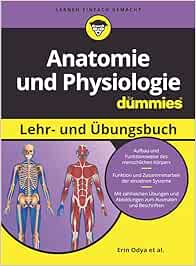 Anatomie und Physiologie Lehr- und Übungsbuch für Dummies (ePub)