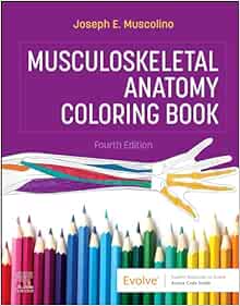 Musculoskeletal Anatomy Coloring Book, 4th edition (Original PDF from Publisher)