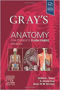 Grays Anatomy for Students Flash Cards 5th Edition (EPUB)