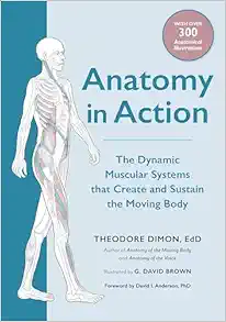 Anatomy in Action: The Dynamic Muscular Systems that Create and Sustain the Moving Body (EPUB)