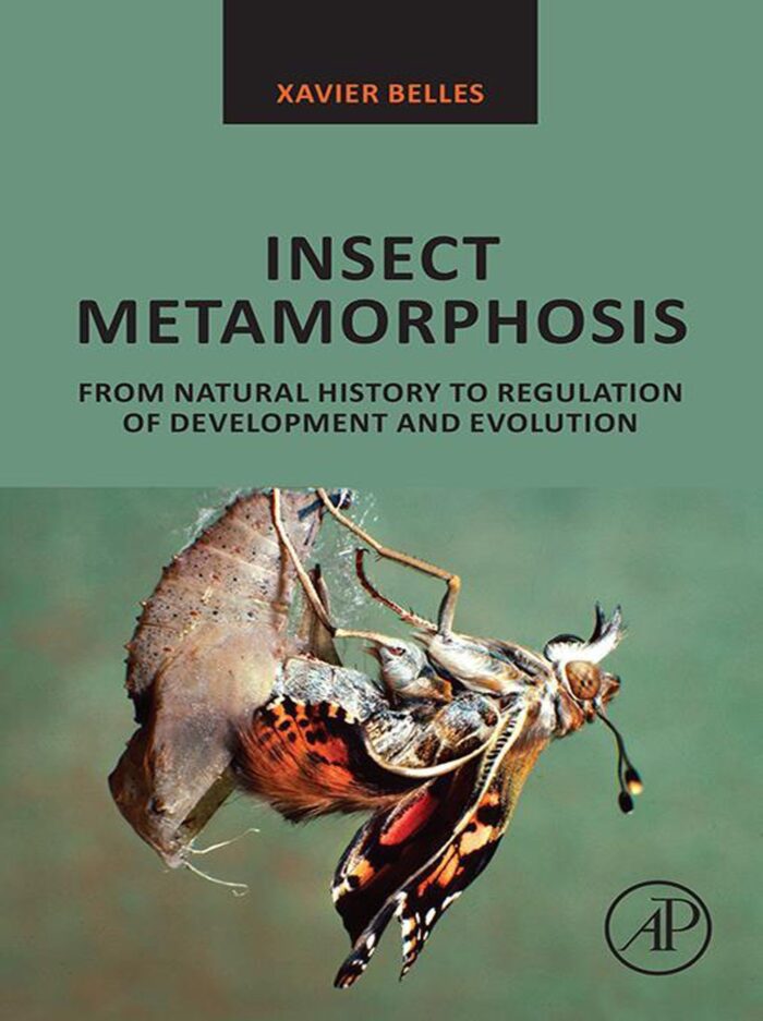 Insect Metamorphosis: From Natural History to Regulation of Development and Evolution (Original PDF from Publisher)