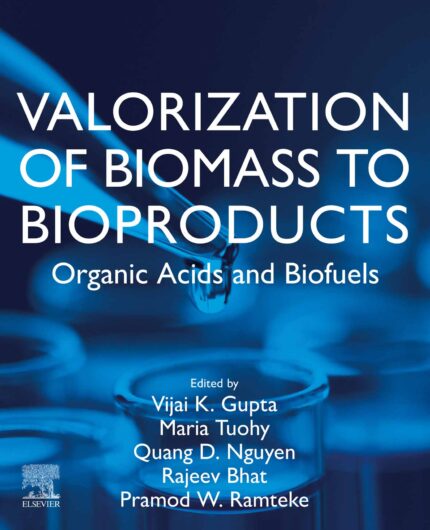 Valorization of Biomass to Bioproducts: Organic Acids and Biofuels (EPUB)