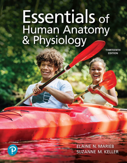 Essentials of Human Anatomy & Physiology, 13th Edition (Original PDF from Publisher)