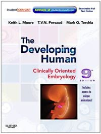 The Developing Human: Clinically Oriented Embryology with Student Consult Online Access, 9th Edition (Original PDF from Publisher)