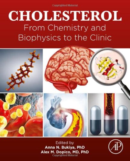 Cholesterol From Chemistry EPUB