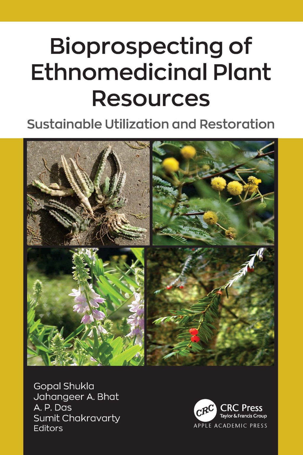 Bioprospecting of Ethnomedicinal Plant Resources: Sustainable Utilization and Restoration (EPUB)