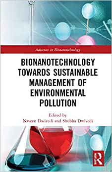 Bionanotechnology Towards Sustainable EPUB