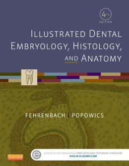 Illustrated Dental Embryology, Histology, and Anatomy, 4th Edition