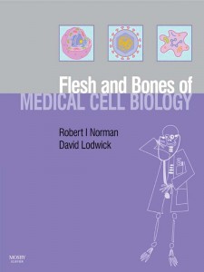 Flesh and Bones of Medical Cell Biology