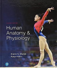 Human Anatomy and Physiology